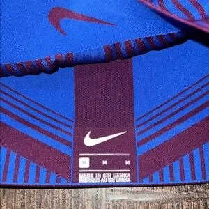 Nike Blue and Purple Sports Bra